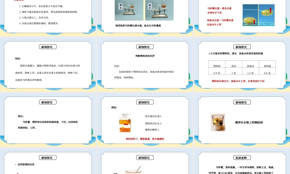 教科版五年级科学下册第一单元《沉和浮-探索马铃薯沉浮的原因》PPT课件.pptx