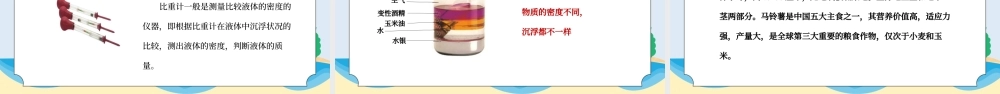 教科版五年级科学下册第一单元《沉和浮-探索马铃薯沉浮的原因》PPT课件.pptx