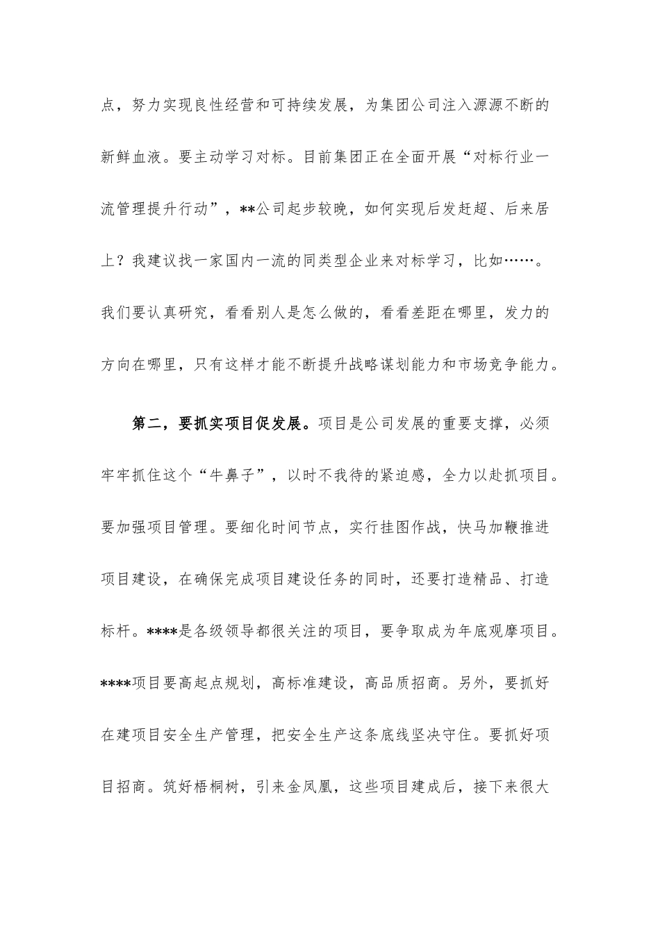 国企党委书记在调研子公司座谈会上的讲话.docx_第3页