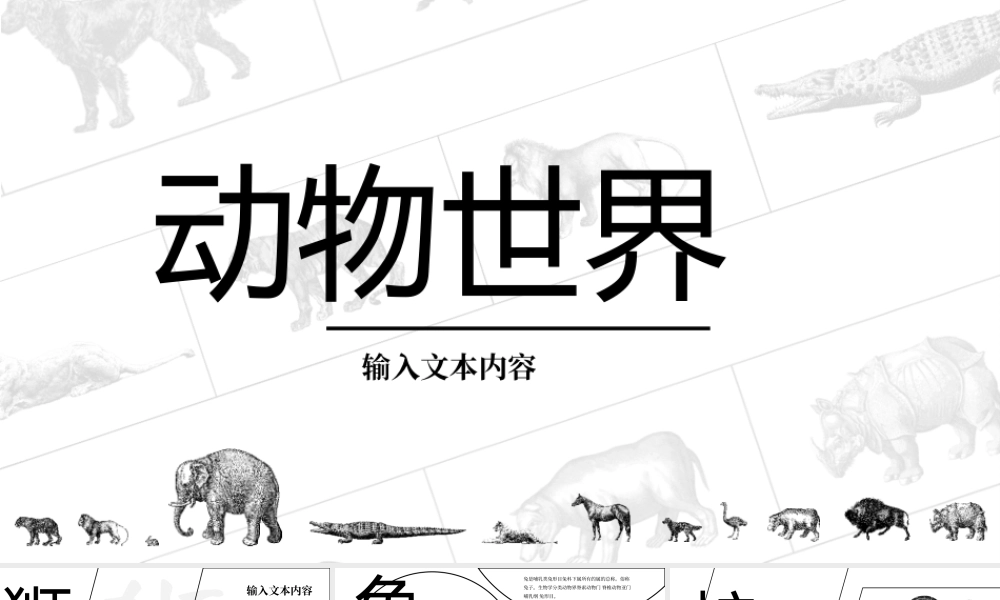 动物世界动物介绍主题课件PPT保护野生动物PPT课件（带内容）.pptx