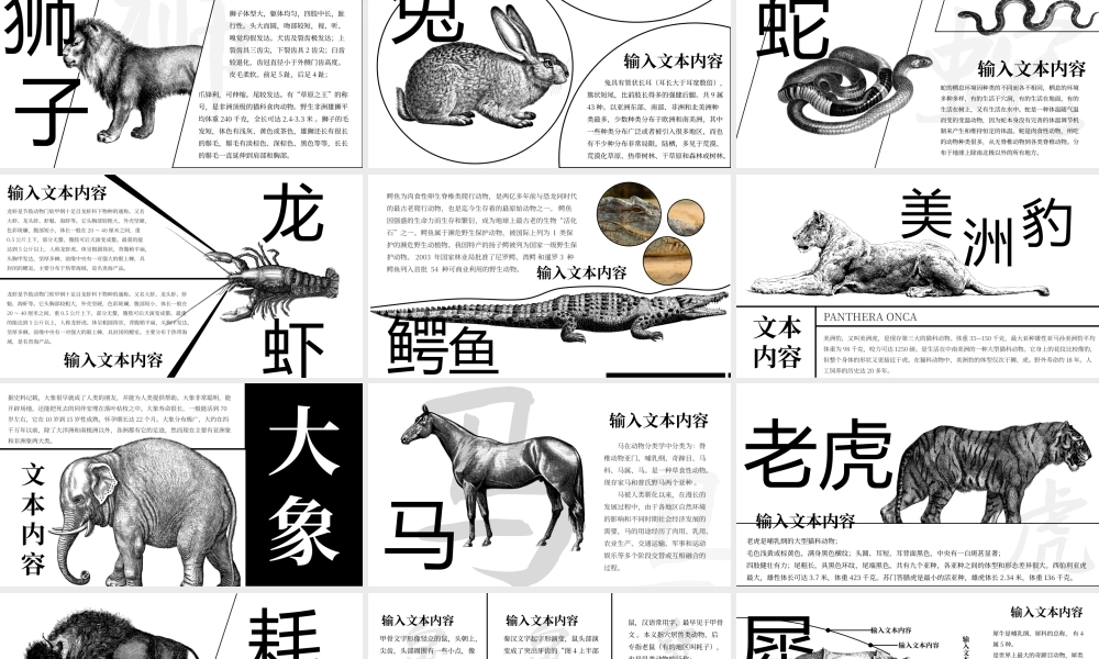 动物世界动物介绍主题课件PPT保护野生动物PPT课件（带内容）.pptx