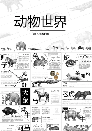 动物世界动物介绍主题课件PPT保护野生动物PPT课件（带内容）.pptx