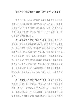 学习领悟《推进领导干部能上能下规定》心得体会3篇.docx