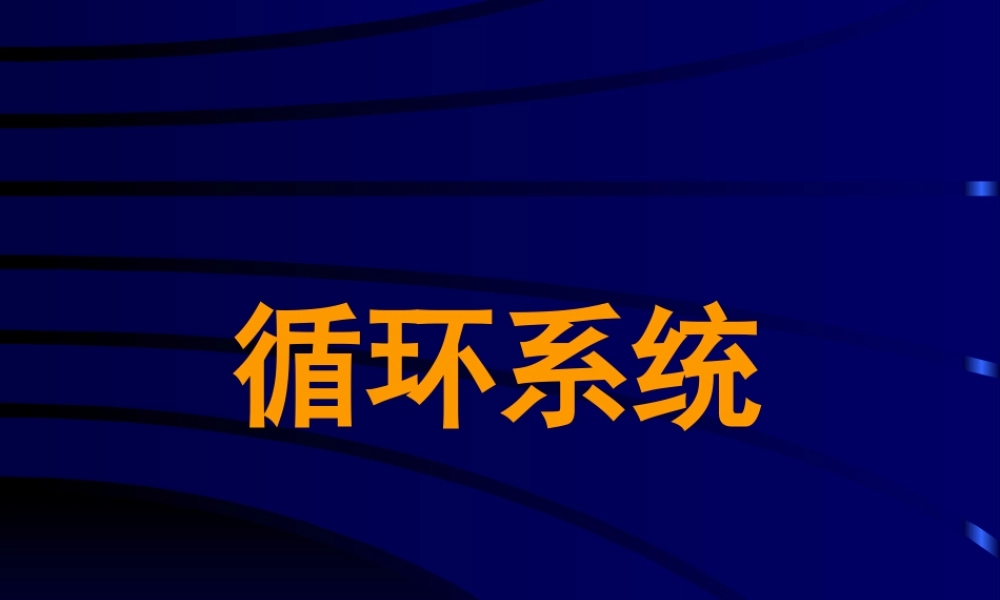 循环系统医学教学课件PPT.pptx