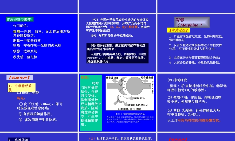 镇痛药医学教学课件.pptx