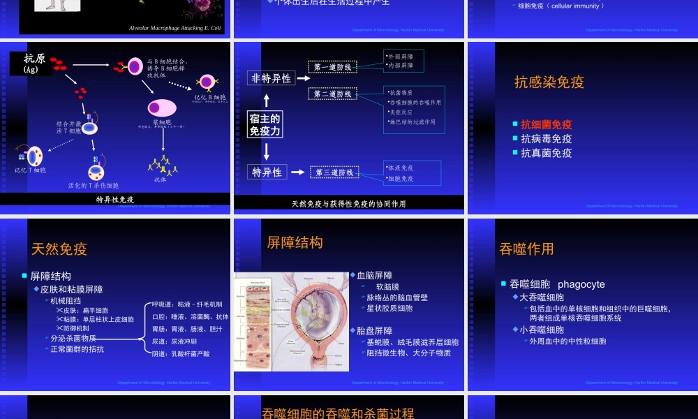 微生物学基础抗感染免疫医学教学课件.pptx