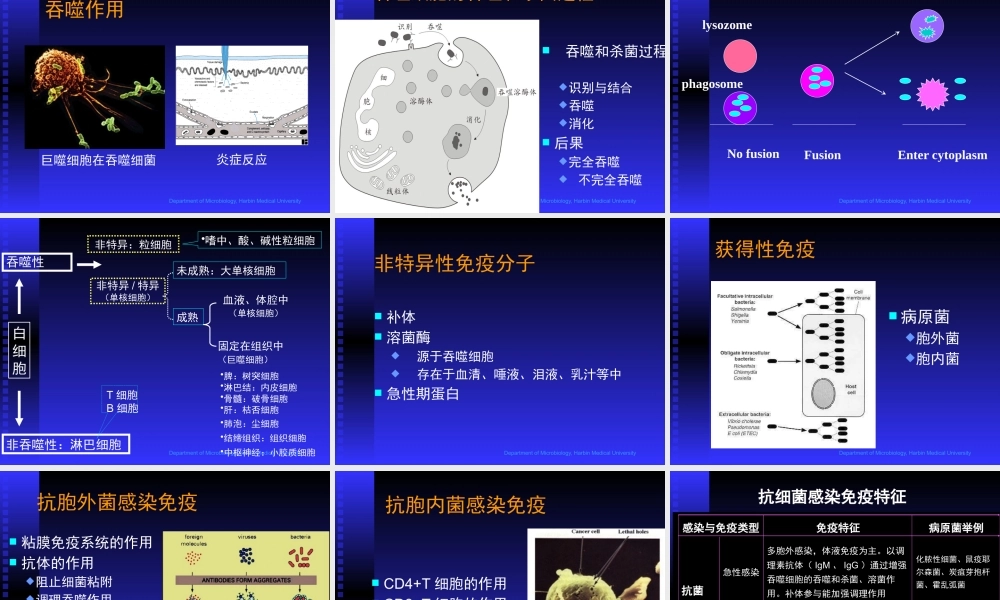 微生物学基础抗感染免疫医学教学课件.pptx