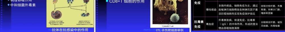 微生物学基础抗感染免疫医学教学课件.pptx