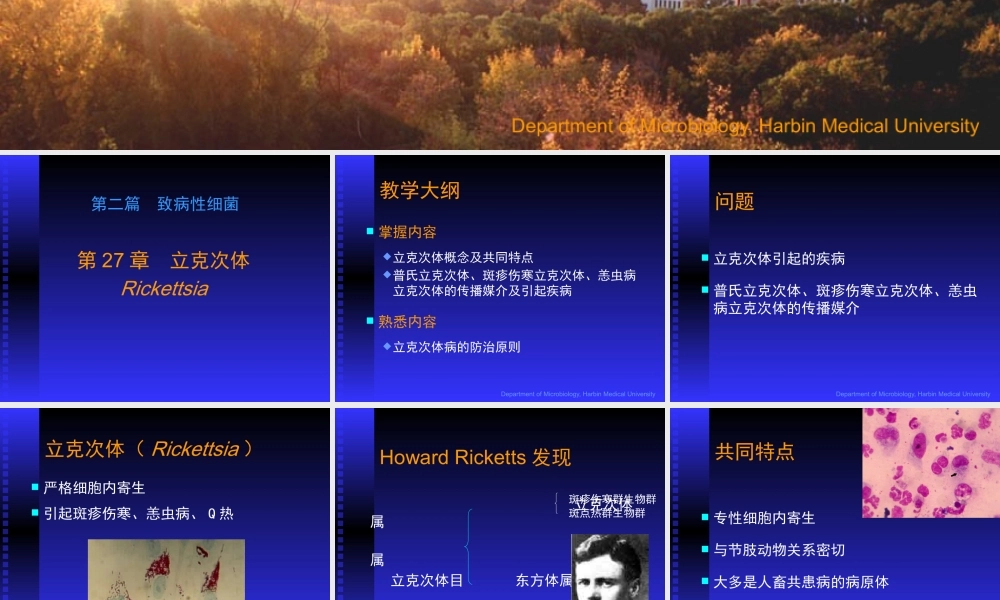 致病性细菌立克次体医学教学课件.pptx
