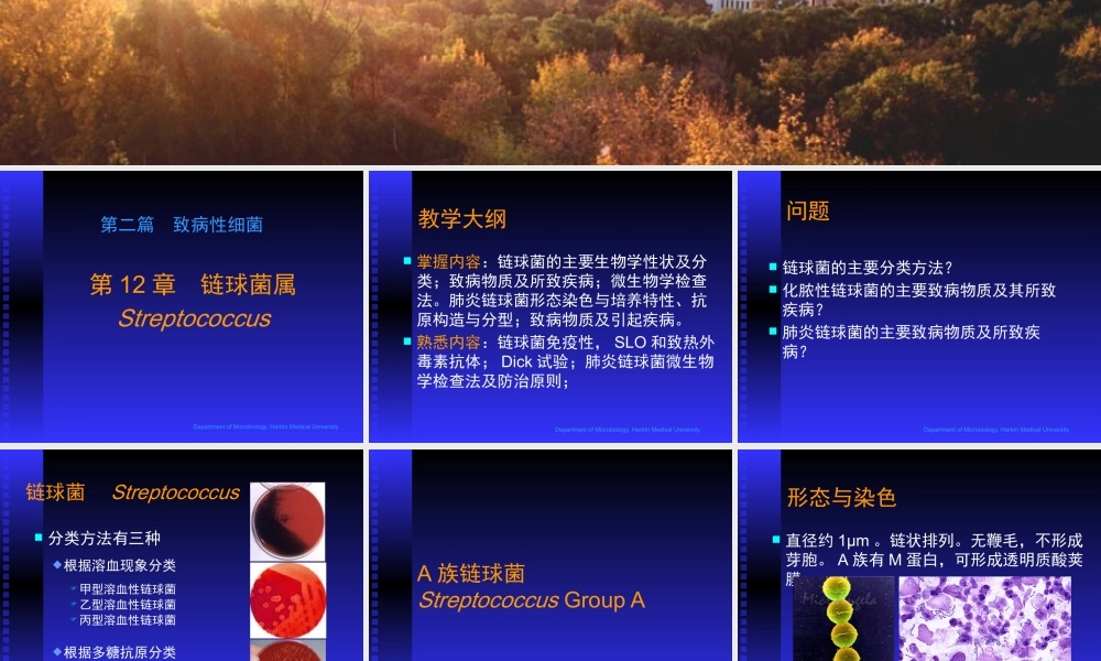 致病性细菌链球菌属医学教学课件.pptx