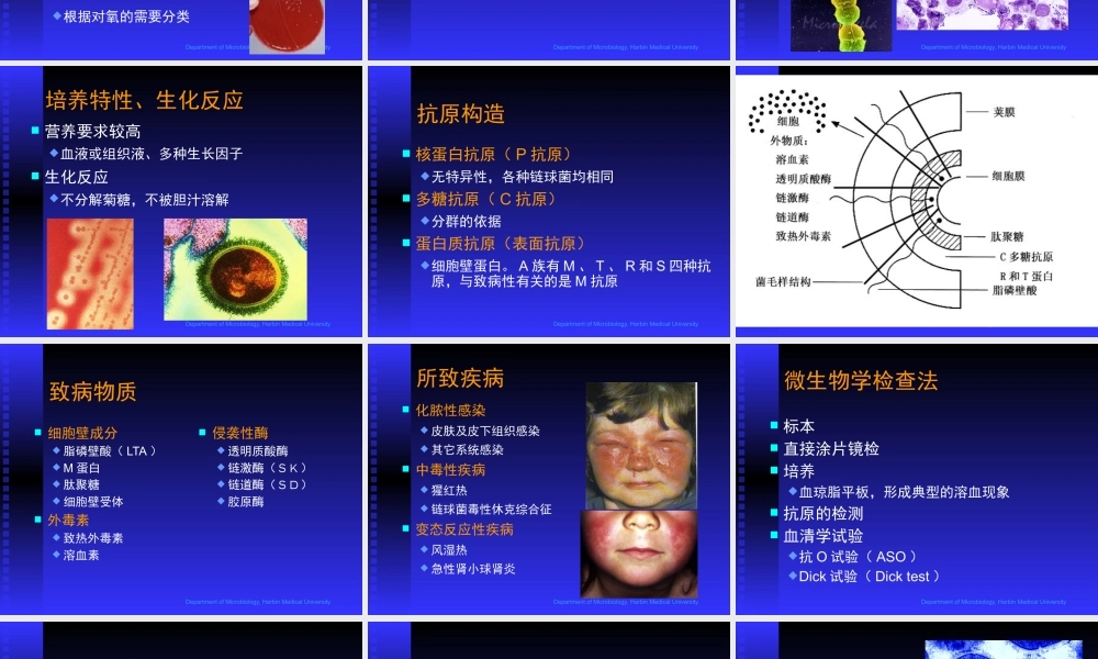 致病性细菌链球菌属医学教学课件.pptx