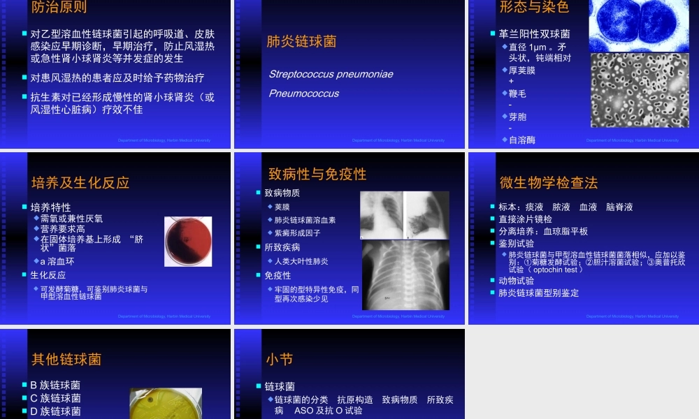 致病性细菌链球菌属医学教学课件.pptx