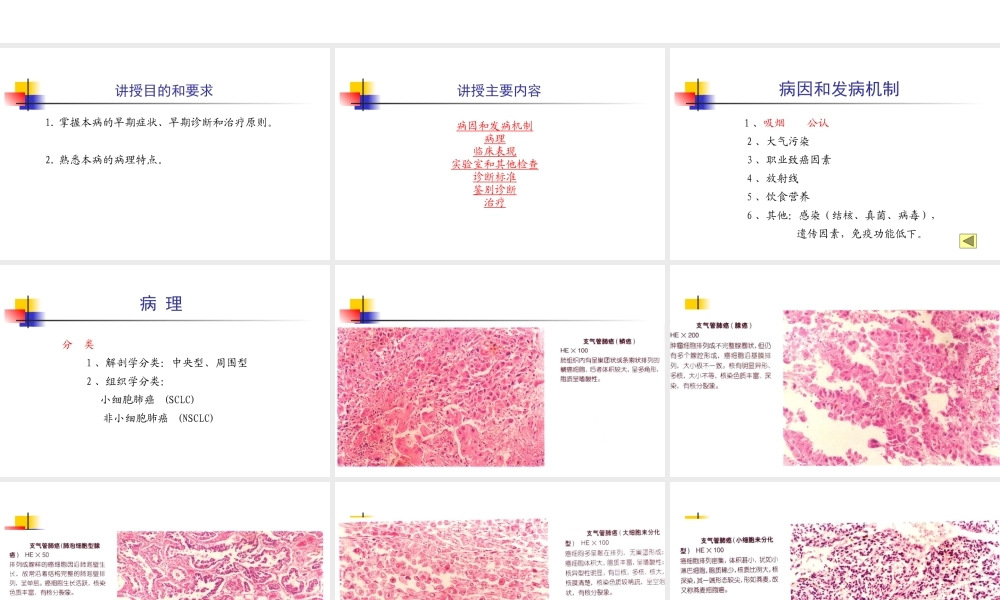 呼吸系统疾病原发性支气管肺癌医学教学课件.pptx