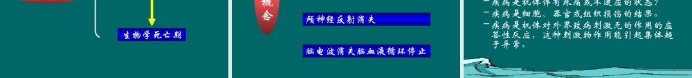 疾病概论医学教学课件2.pptx