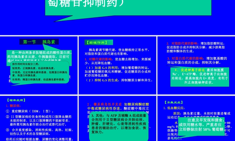抗糖尿病药医学教学课件.pptx