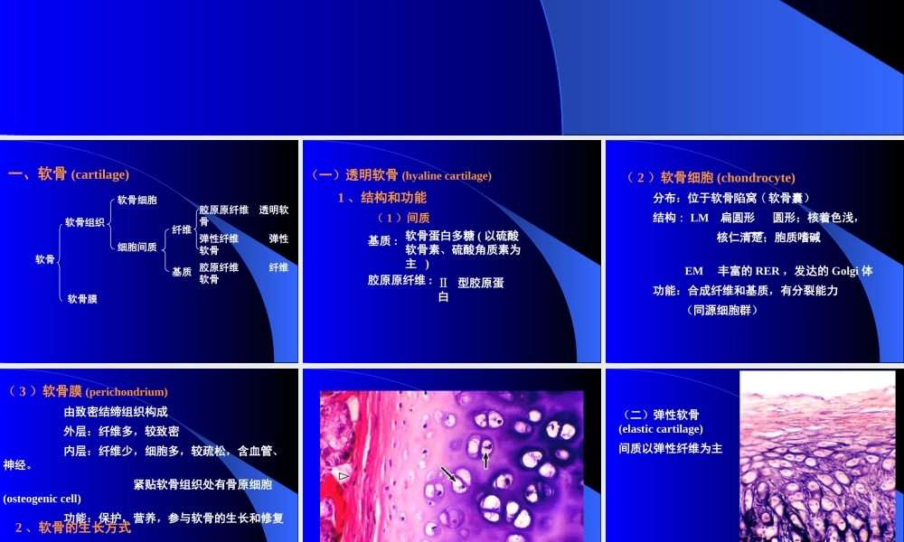软骨医学教学培训课件PPT.pptx