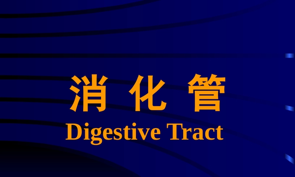 消化管医学教学课件PPT.pptx