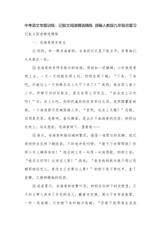 中考语文专题训练：记叙文阅读精选精练部编人教版九年级总复习.docx
