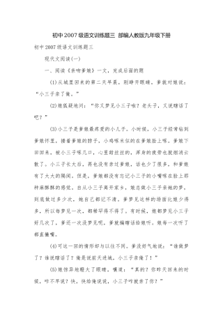 初中2007级语文训练题三部编人教版九年级下册.docx