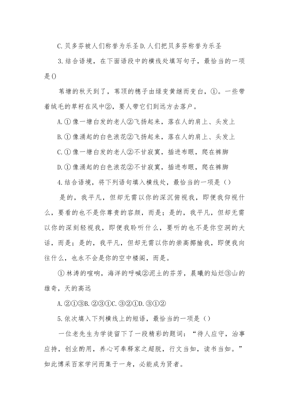 中考语文语言运用专题—综合练习部编人教版九年级上册.docx_第2页