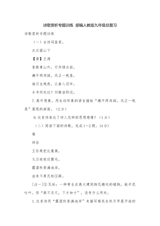 诗歌赏析专题训练部编人教版九年级总复习.docx