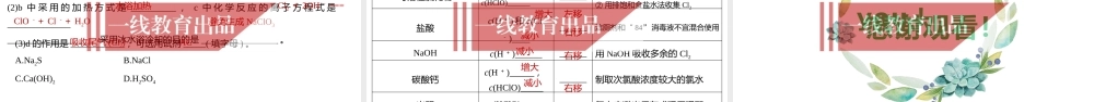2023届高三化学一轮复习《氯及其化合物》 (2).pptx