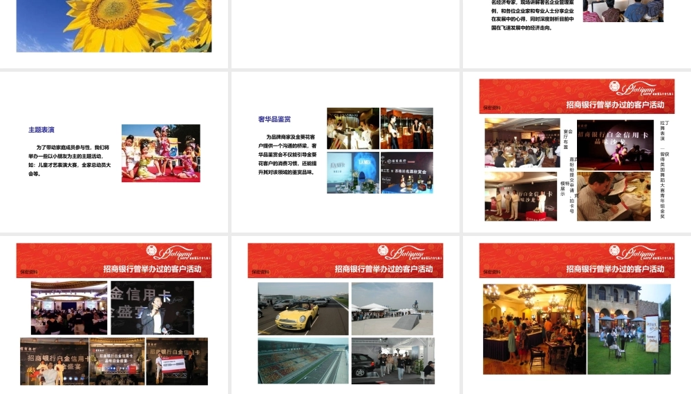金融-活动-招商银行白金会员活动(ppt30页).pptx