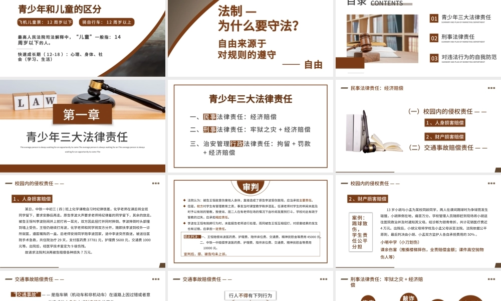 棕色简约风青少年普法宣传教育PPT模板.pptx