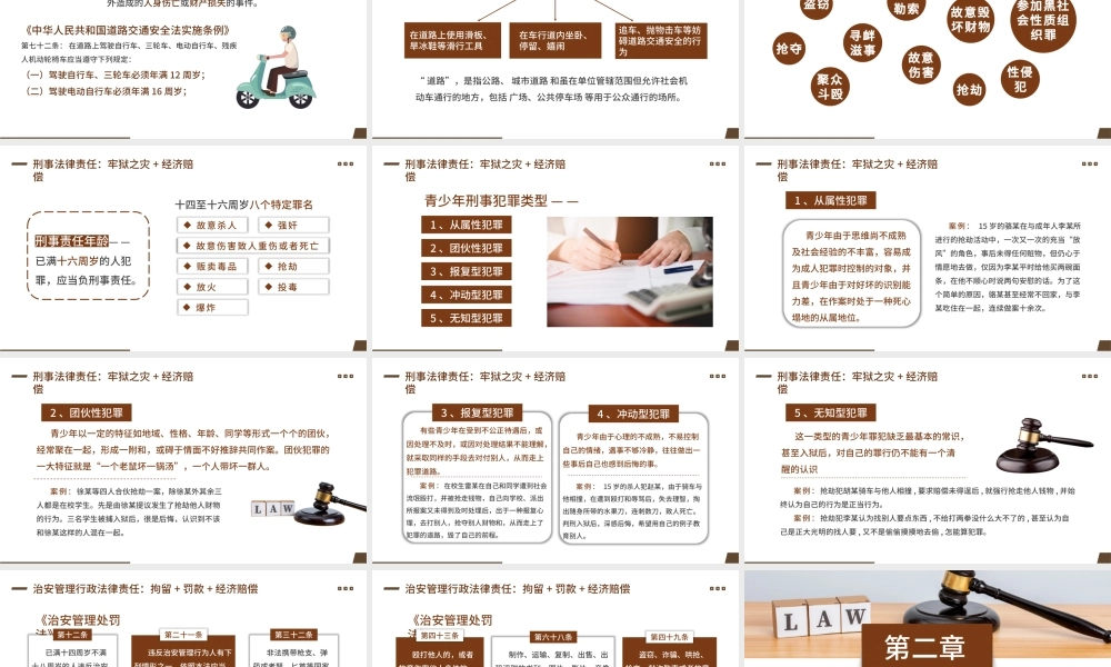 棕色简约风青少年普法宣传教育PPT模板.pptx
