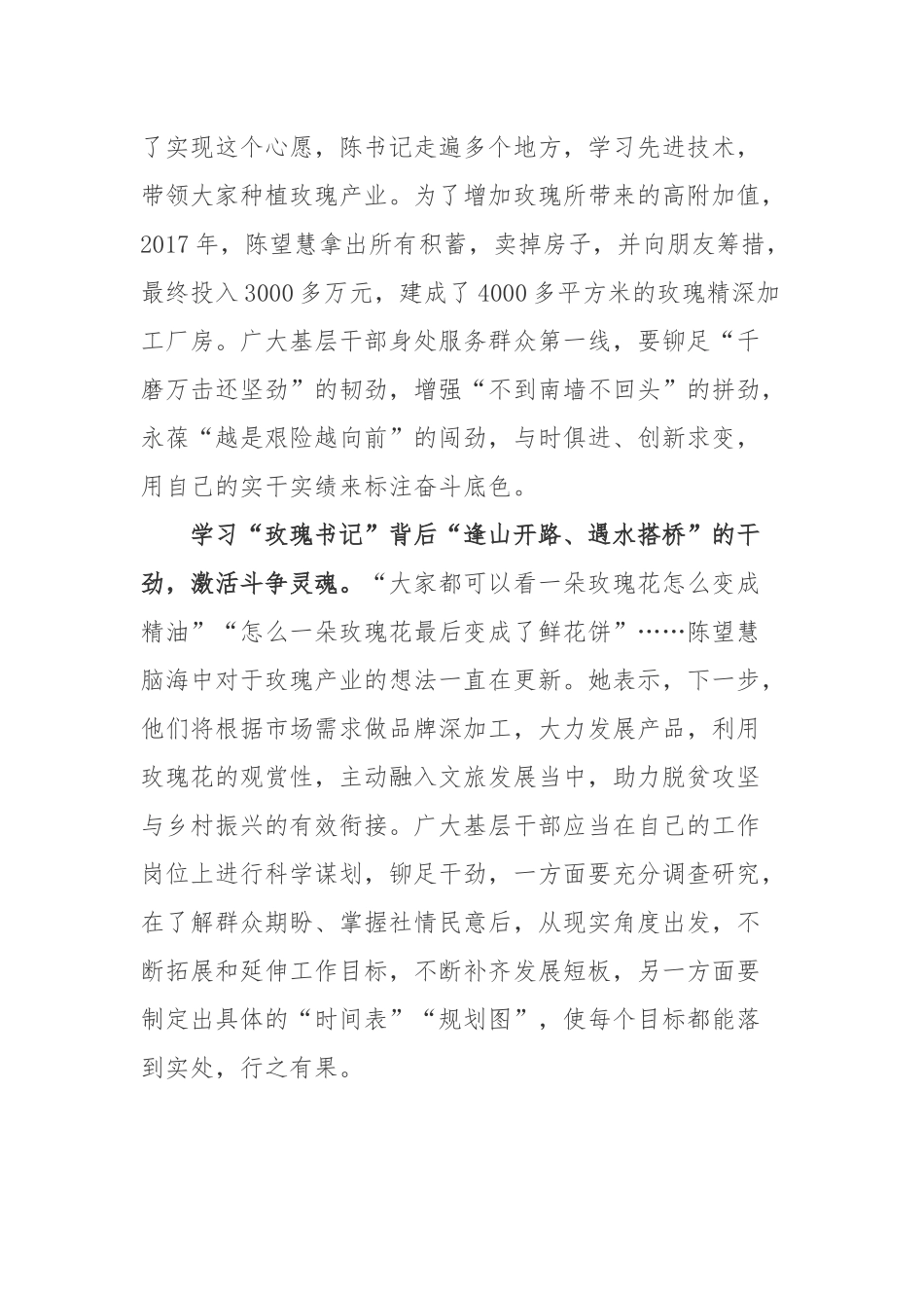 冒水村党支部书记陈望慧先进事迹学习心得体会.docx_第2页