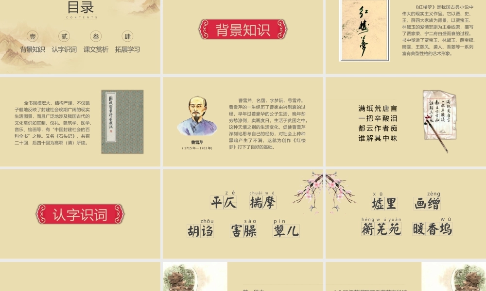 《香菱学诗》人教版九年级语文课件PPT模板.pptx