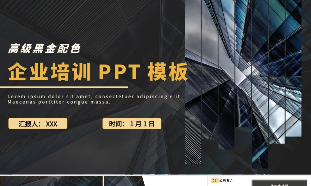 高级黑金配色企业培训PPT.pptx
