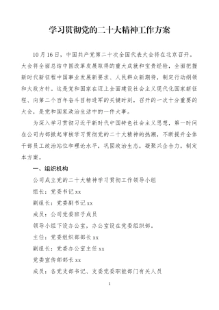 学习贯彻党的大会精神工作计划及学习贯彻交流发言材料.docx