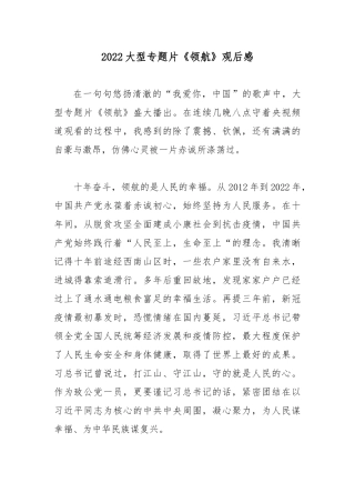 2022大型专题片《领航》观后感.docx