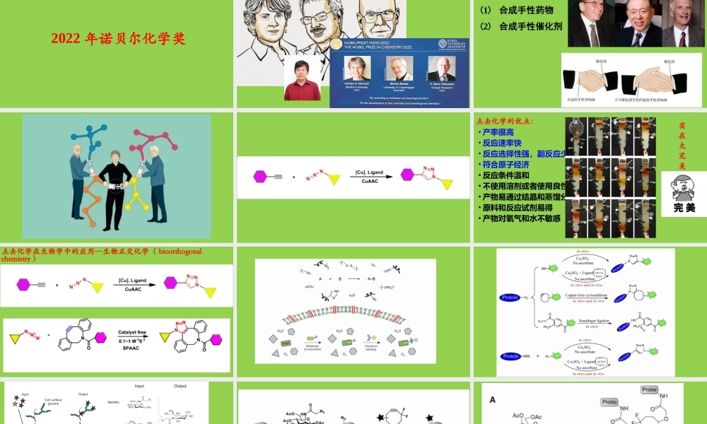 2022-2023年高考化学复习专题《基于诺贝尔化学奖点击化学的有机合成路线设计》.pptx
