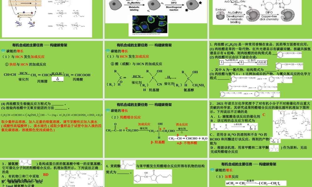 2022-2023年高考化学复习专题《基于诺贝尔化学奖点击化学的有机合成路线设计》.pptx
