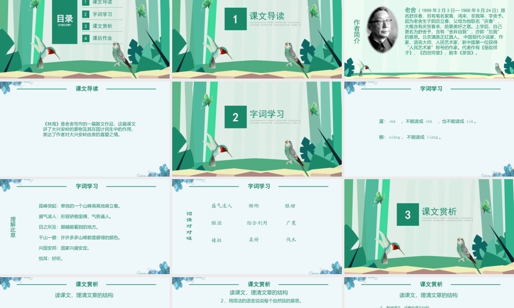 人教版六年级课件林海PPT模板.pptx