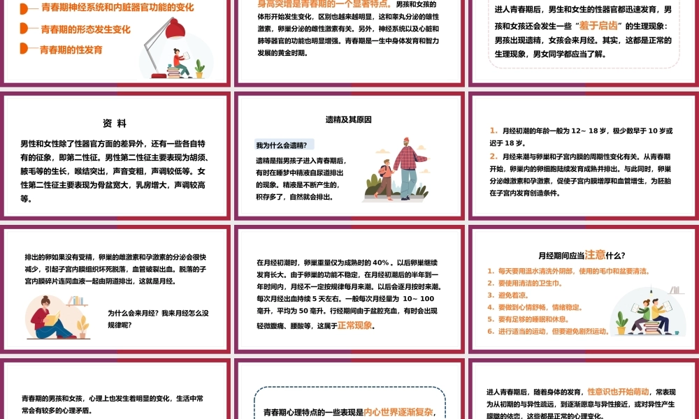 七年级生物下册青春期PPT课件.pptx