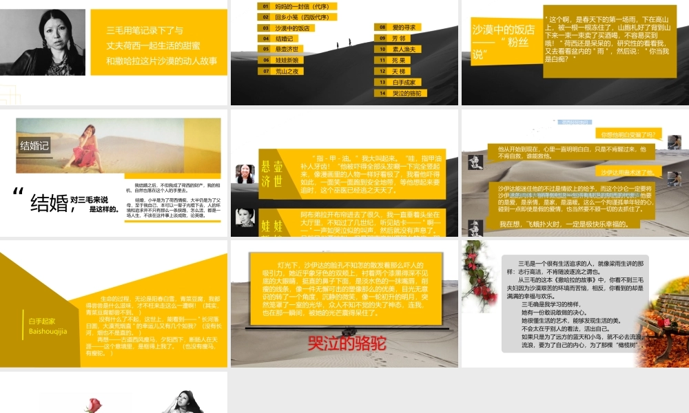 《撒哈拉的故事》读书笔记PPT作品学习.pptx