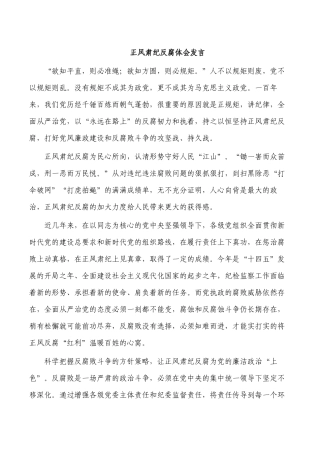 正风肃纪反腐体会发言.docx