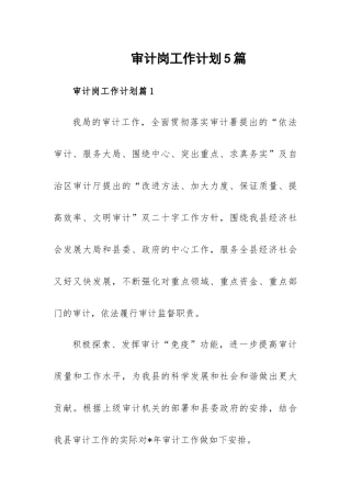 审计岗工作计划5篇.docx