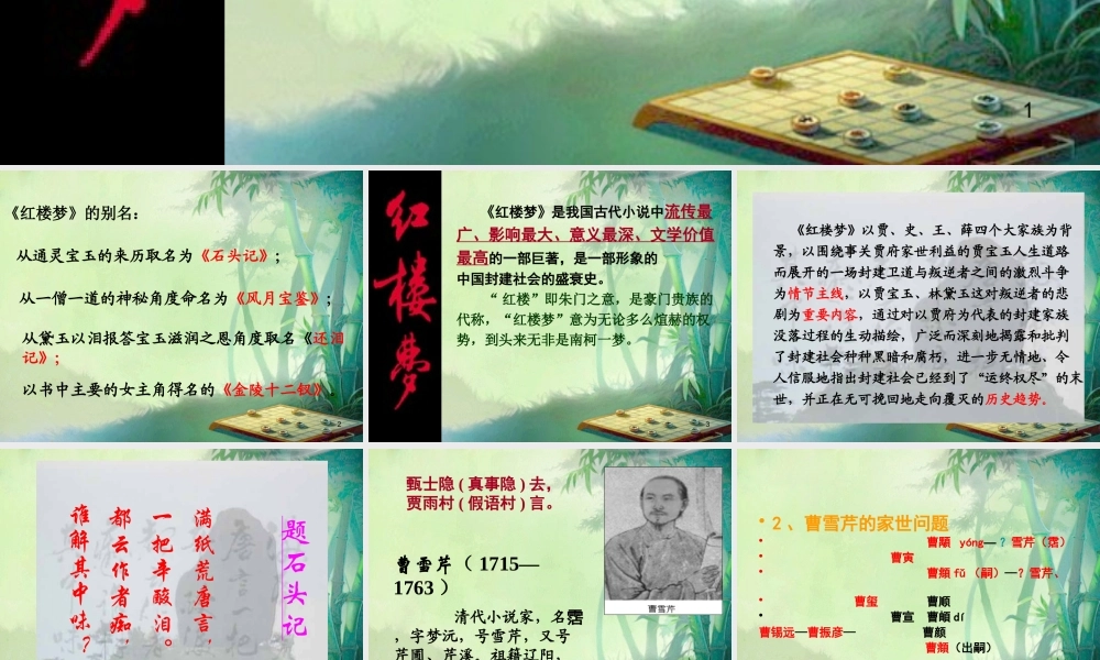 《红楼梦》人物解析介绍PPT.pptx