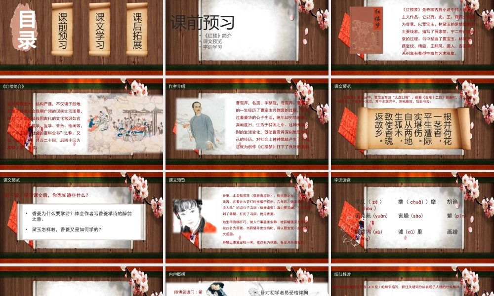 《红楼梦》作品简介名著导读国学经典 PPT模板.pptx