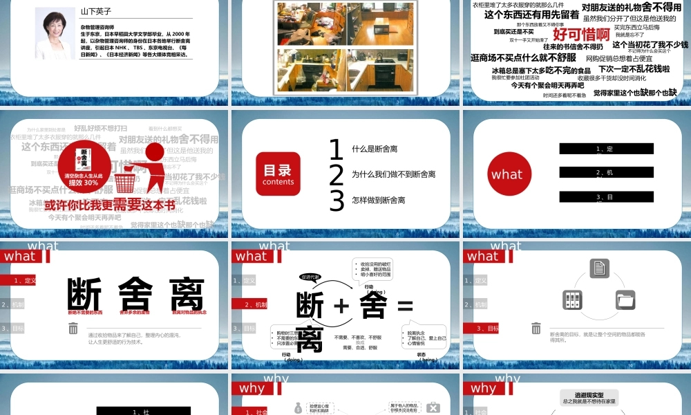 《断舍离》 作品简介名著导读PPT模板.pptx