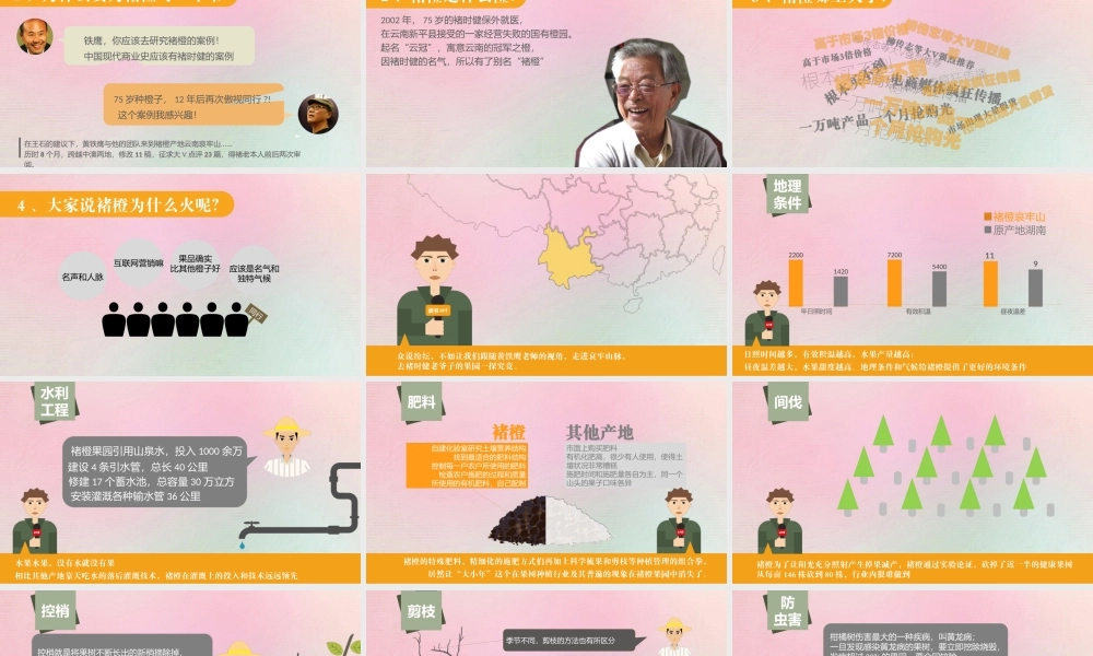 《褚橙你也学不会》ppt读书笔记.pptx