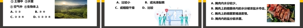 八年级上册生物细菌和真菌的分布PPT课件.pptx
