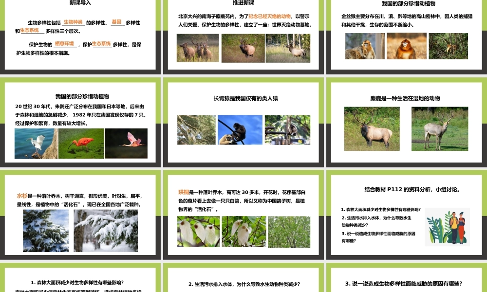 八年级生物上册保护生物的多样性PPT课件.pptx