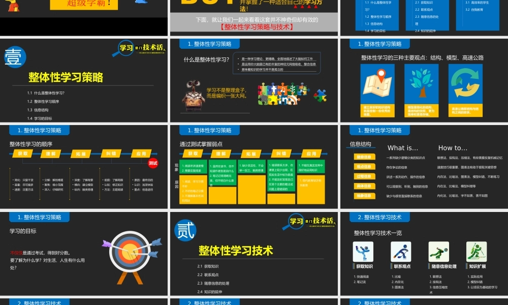 《如何高效学习》作品简介名著导读PPT模板.pptx
