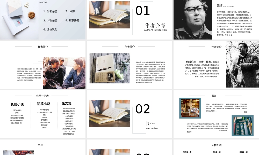 《平凡的世界》作品简介名著导读.pptx