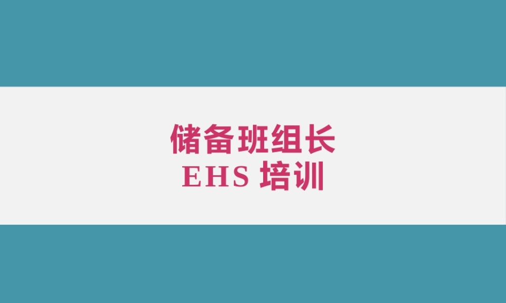 储备班组长安全培训.pptx